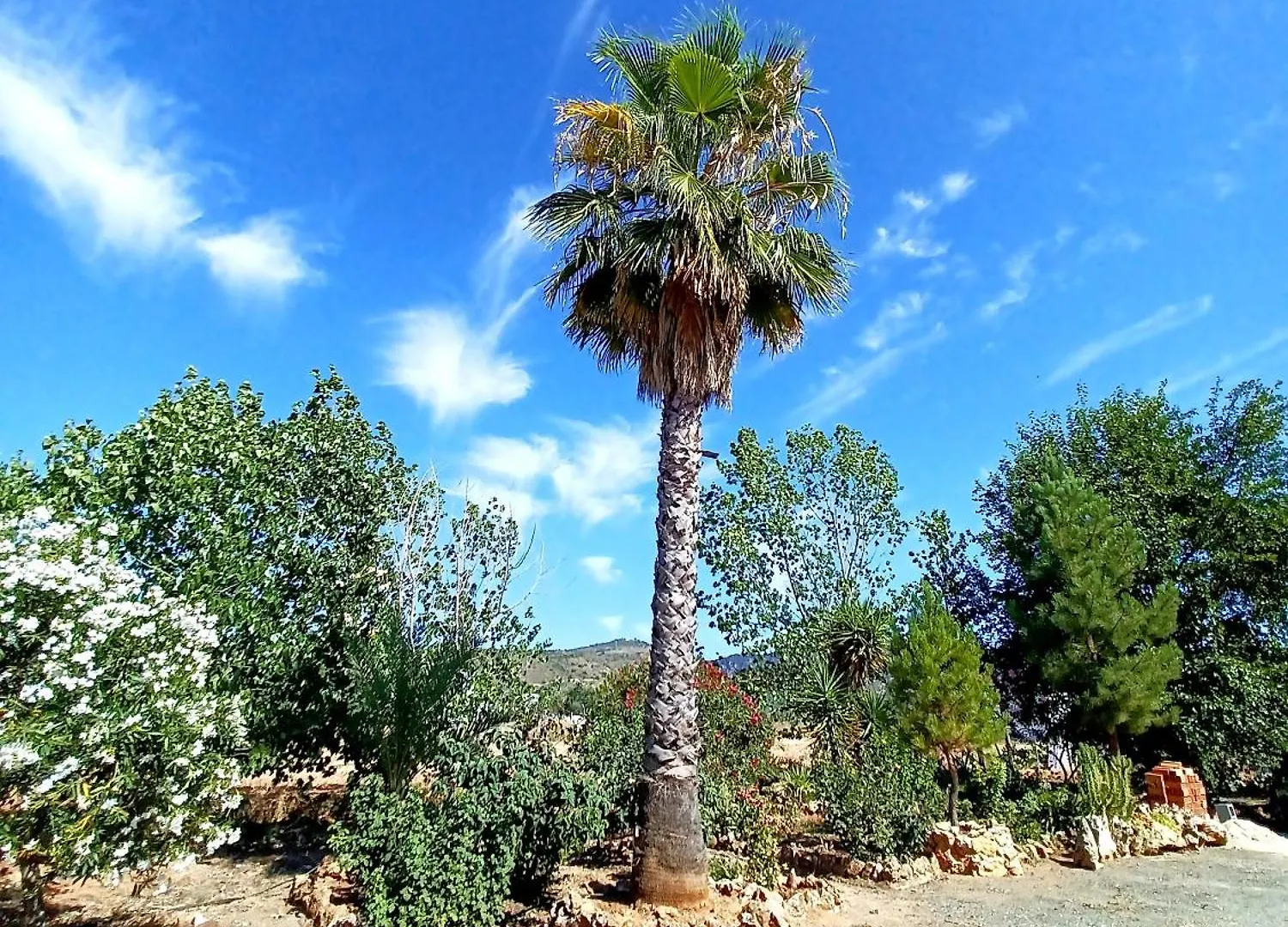 Holiday home Cortijo La Nobleza Villa Archidona Spain
